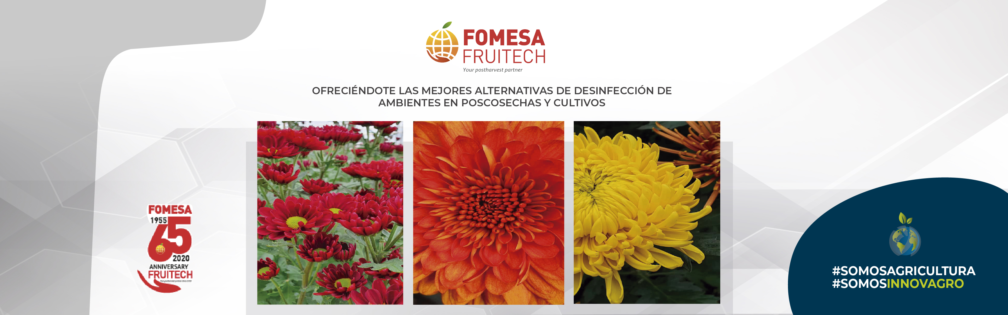 Fomesa